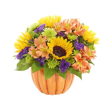 Harvest Pumpkin